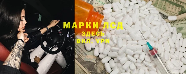 прущие грибы Новодвинск
