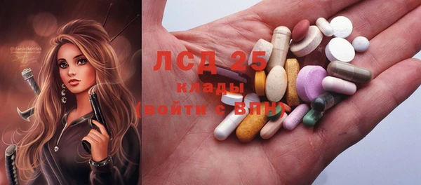 прущие грибы Новодвинск