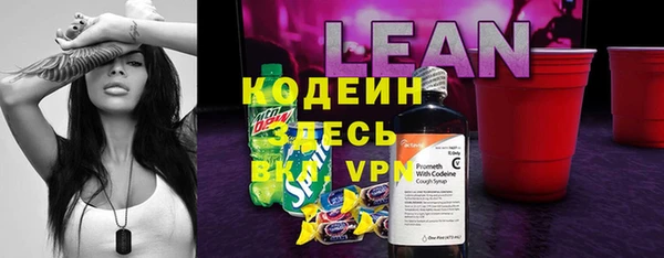 прущие грибы Новодвинск