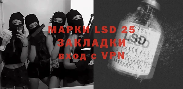 прущие грибы Новодвинск