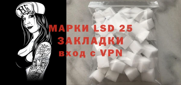 прущие грибы Новодвинск