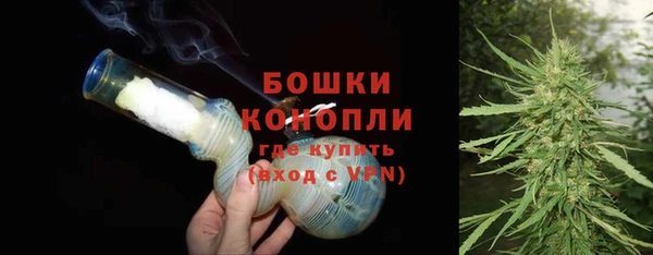 прущие грибы Новодвинск