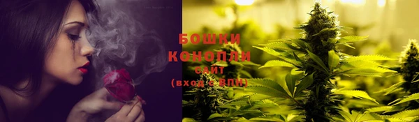 гашик Новокубанск
