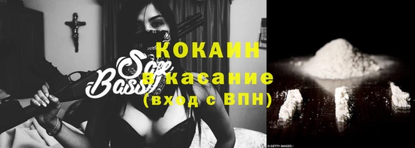 прущие грибы Новодвинск