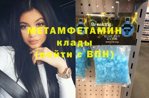 прущие грибы Новодвинск