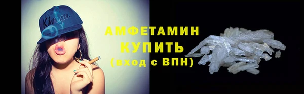 прущие грибы Новодвинск