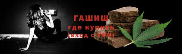 прущие грибы Новодвинск