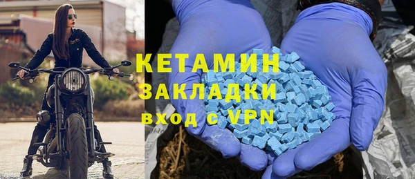 прущие грибы Новодвинск