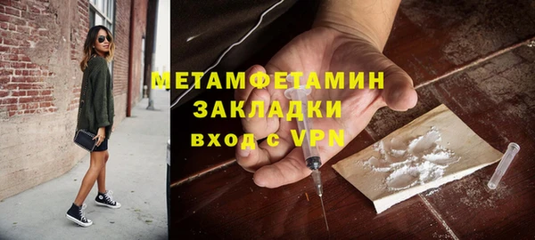 прущие грибы Новодвинск