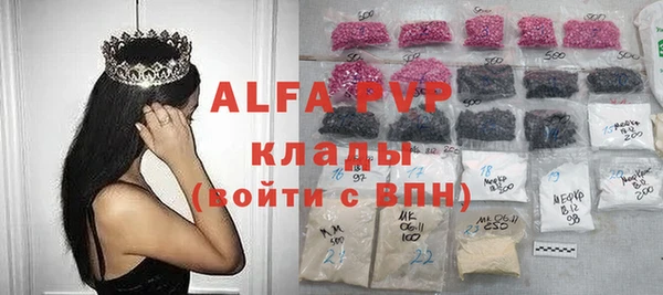 гашик Новокубанск