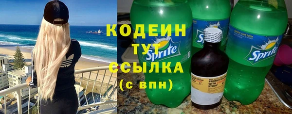 прущие грибы Новодвинск