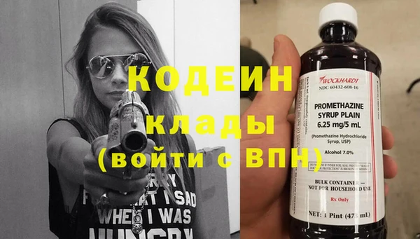 прущие грибы Новодвинск