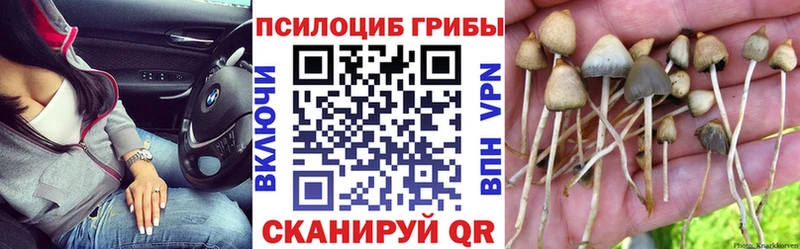 Галлюциногенные грибы Cubensis  Сыктывкар 