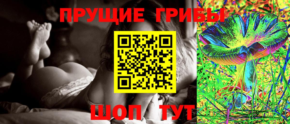 Псилоцибиновые грибы мухоморы Сыктывкар