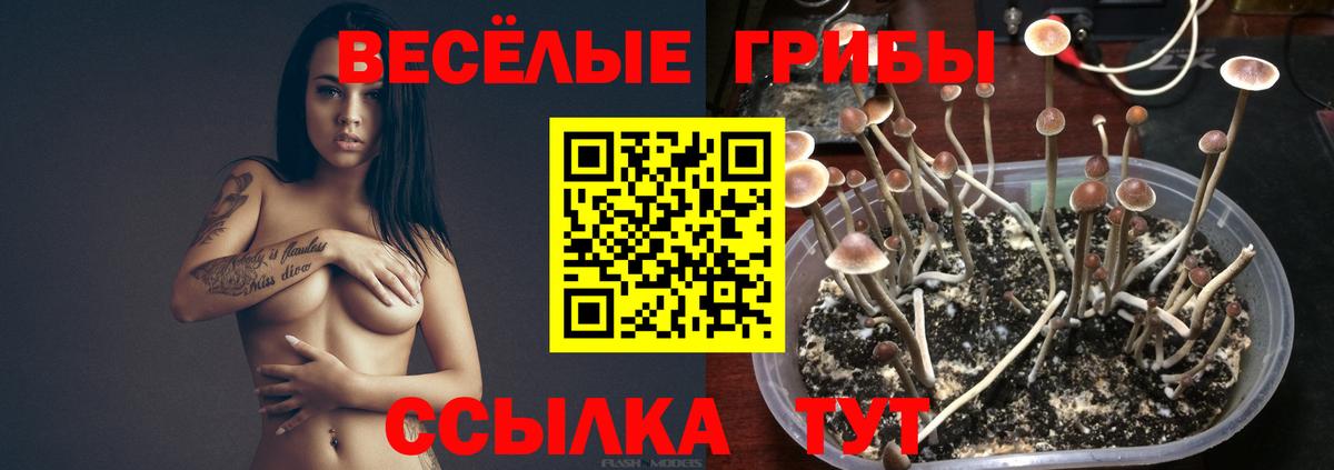 Вейп ТГК Сыктывкар